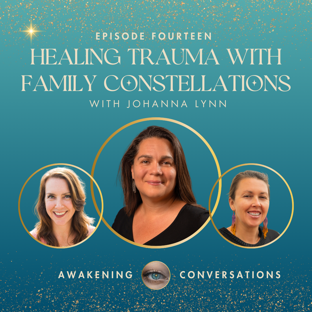 Ep 14 - Family Constellations Johanna Lynn